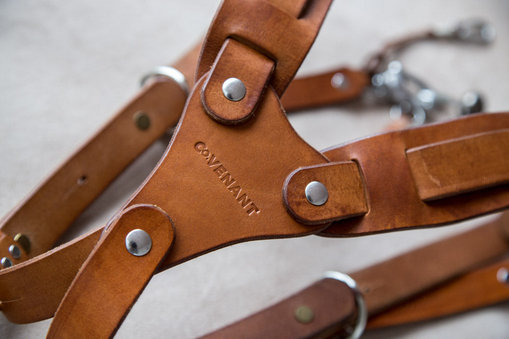 Belt & Band Covenant Handmade Dual Leather Harness Camera Strap Photographer Twin Carry Gear SA